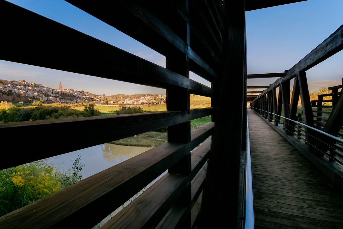 Wooden Bridge Viewpoint