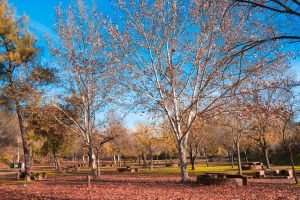 ermita-fuensanta-montoro-21