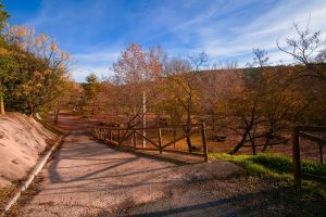 ermita-fuensanta-montoro-6