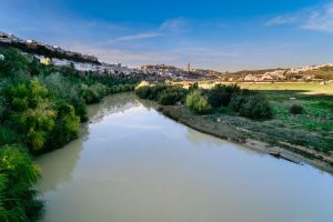 mirador-puente-madera-montoro-5