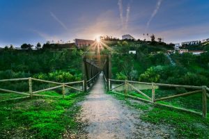 mirador-puente-madera-montoro-8